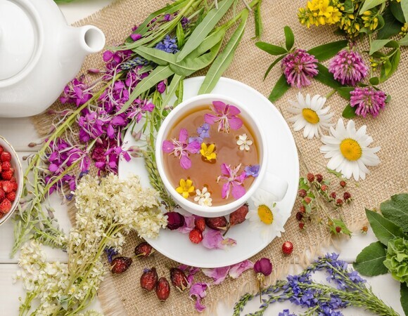 Фитотерапевт объяснил, почему эти травы нужно собирать осенью