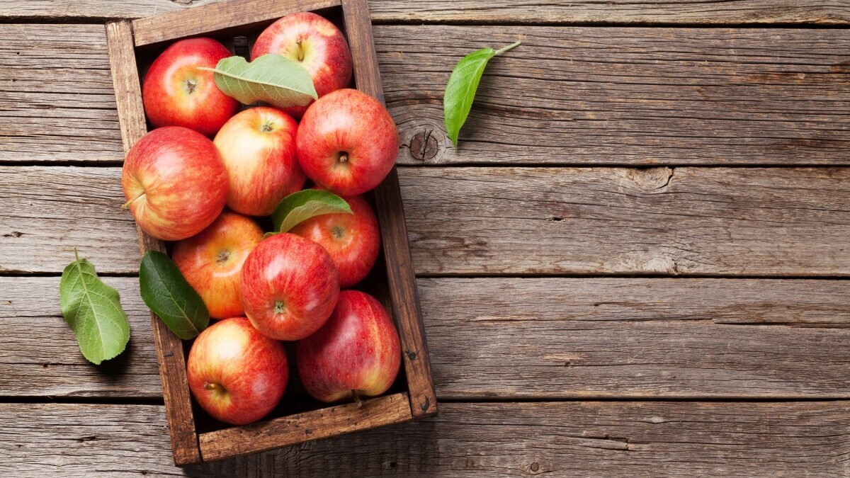 Нужна бумага и солома: агроном о том, как сохранить яблоки до мая