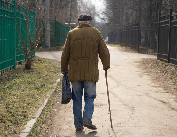 Внимание на два продукта: что нужно есть для профилактики деменции Внимание на два продукта: что нужно есть для профилактики деменции