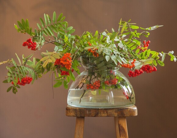 Петр и Павел Рябинники: на Руси готовили ягодные компоты