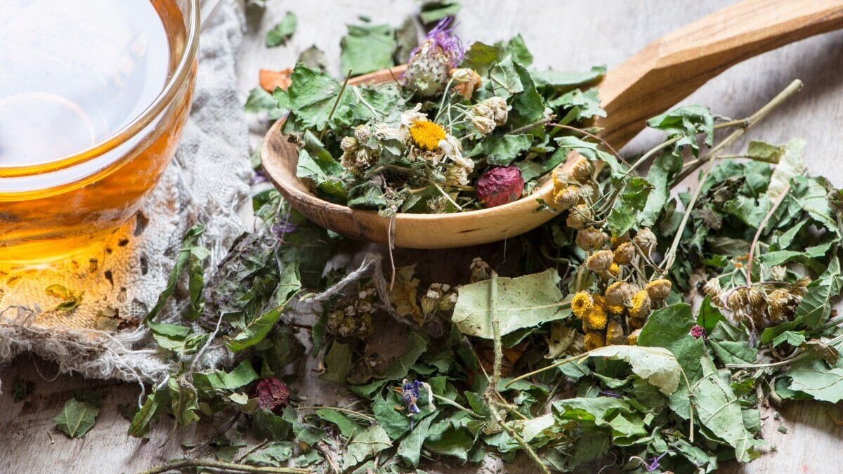 Эти травы помогут успокоиться: есть условие Эти травы помогут успокоиться: есть условие