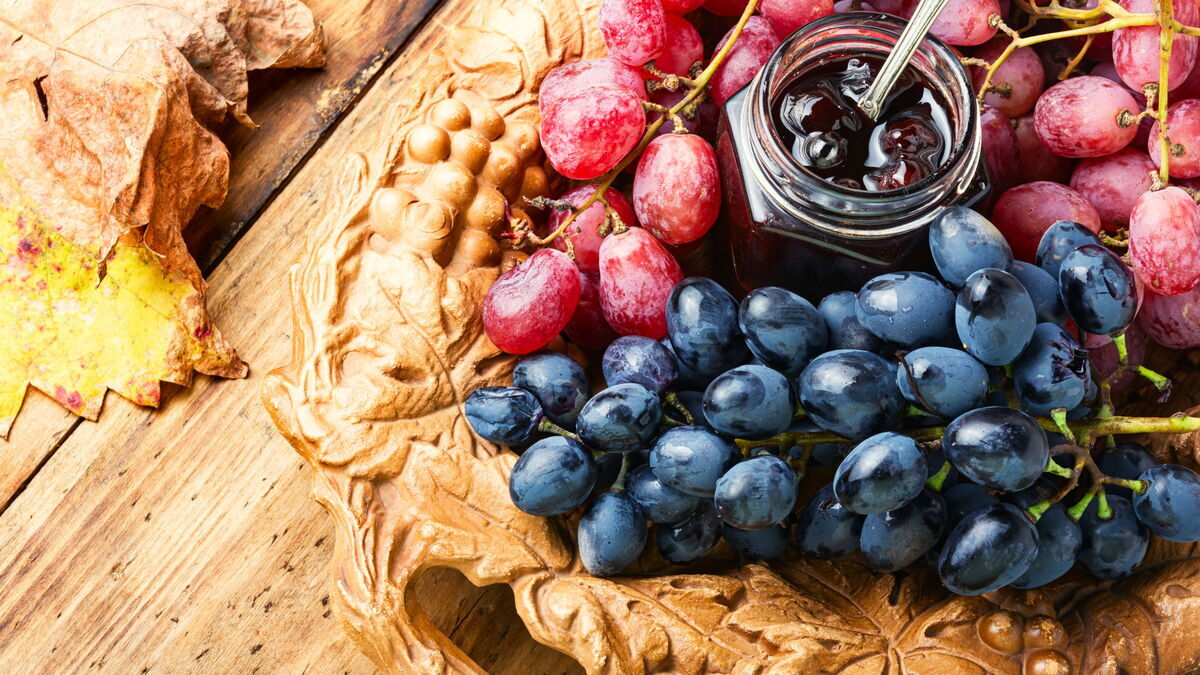 Рецепты заготовок из винограда на зиму Рецепты заготовок из винограда на зиму