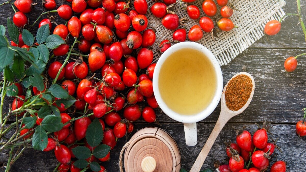 Арина Шиповница: заготавливаем ягодный кисель