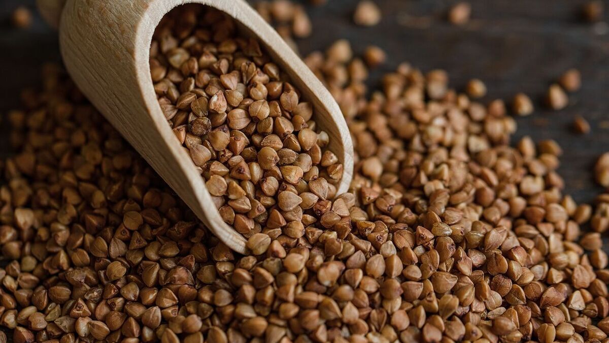 Ученые: гречка влияет на продолжительность жизни