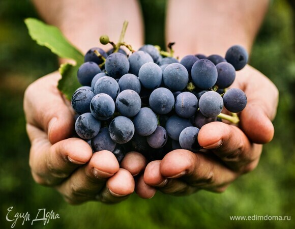 Почему виноград помогает согреться в холода: лайфхак от диетолога