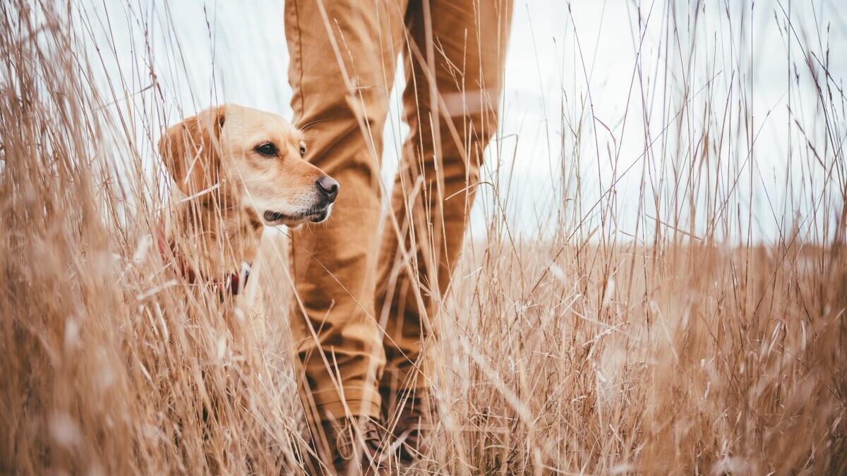 Феофан Милостивый: идеальный день для охоты