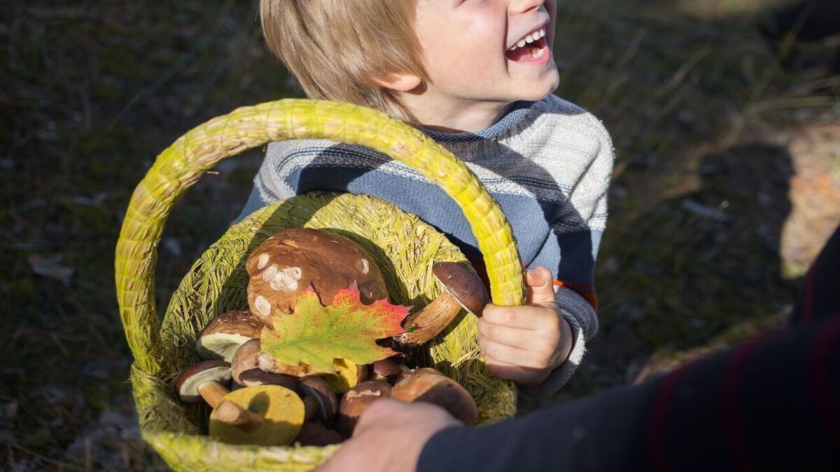 Почему нужно сто раз подумать, прежде чем давать грибы детям: ответила педиатр