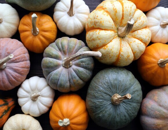 5 овощей, которые должны быть на столе в октябре: врач