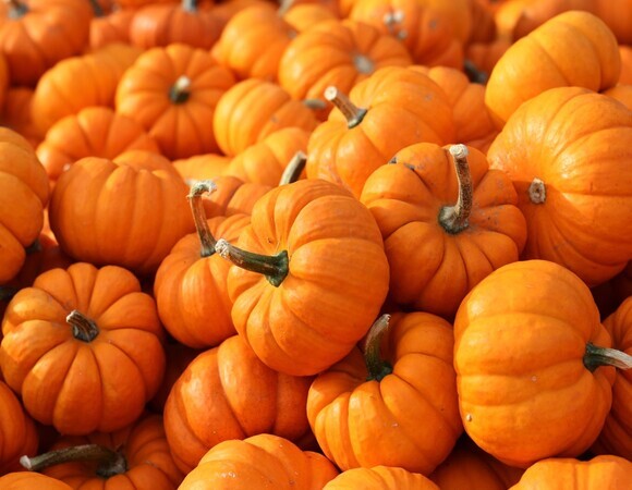 «Пилинг слизистой оболочки»: кому запрещено есть тыкву «Пилинг слизистой оболочки»: кому запрещено есть тыкву