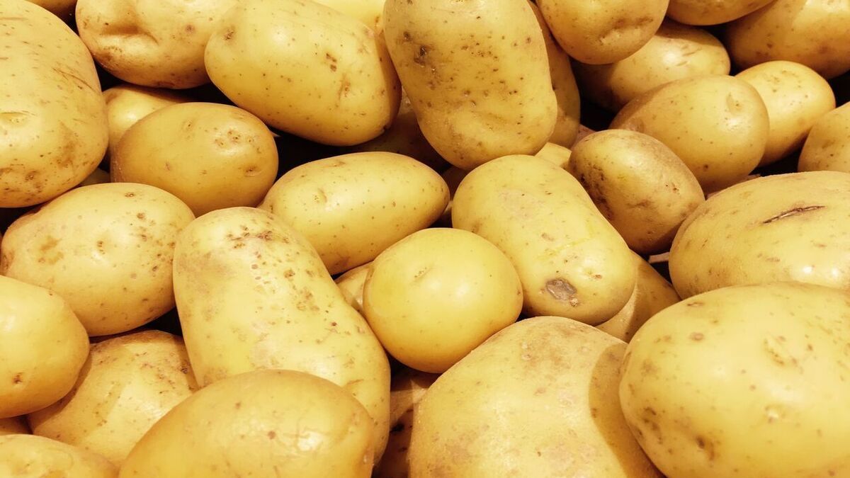 Стало известно, как правильно нужно есть картофель зимой