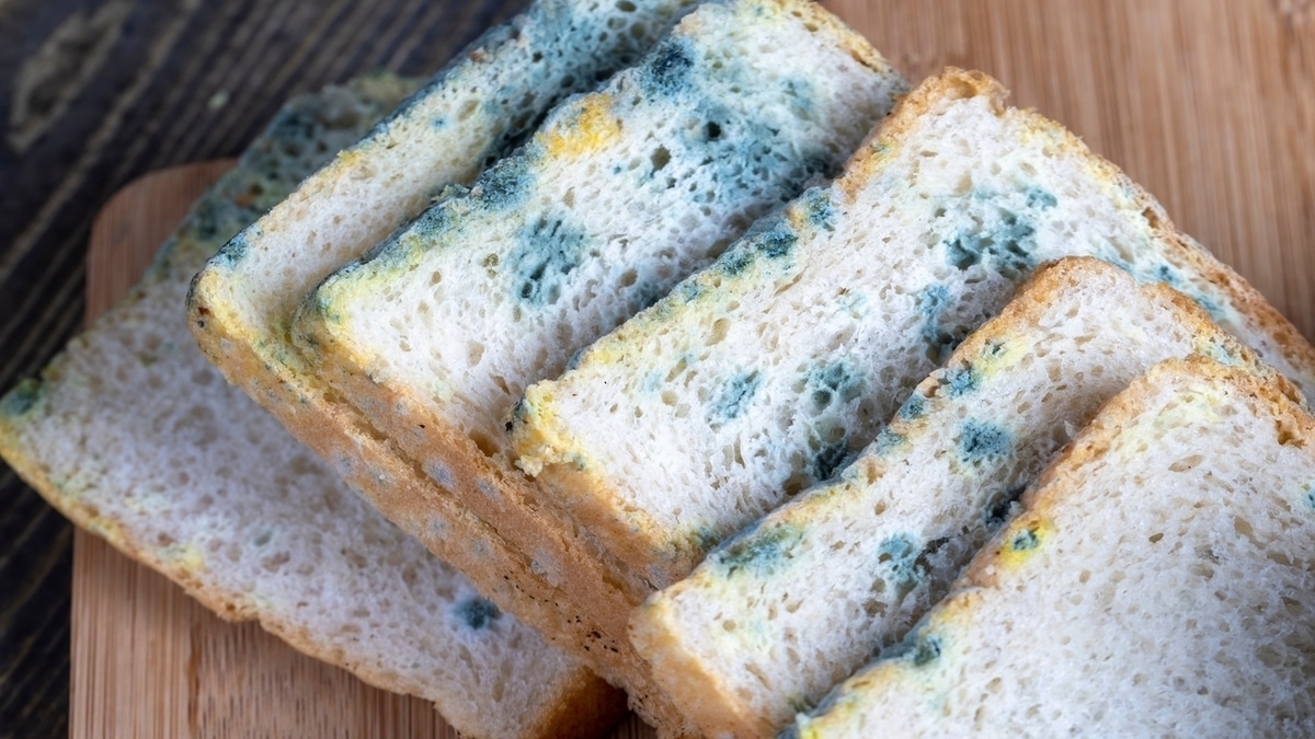 Что будет, если съесть плесневые продукты: отвечает аллерголог Что будет, если съесть плесневые продукты: отвечает аллерголог