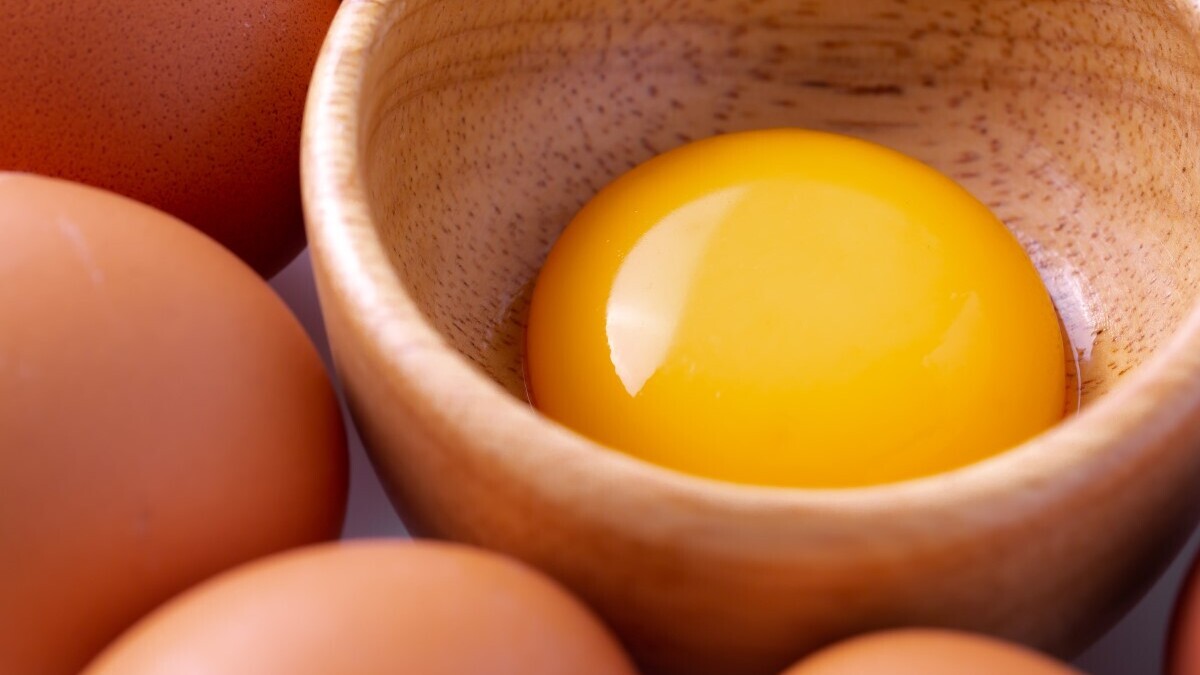 Диетолог реабилитировал яичный желток: причины