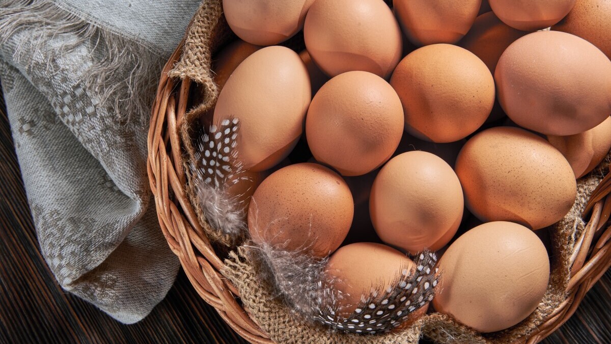 Гастроэнтеролог назвала самый вредный способ приготовления яиц