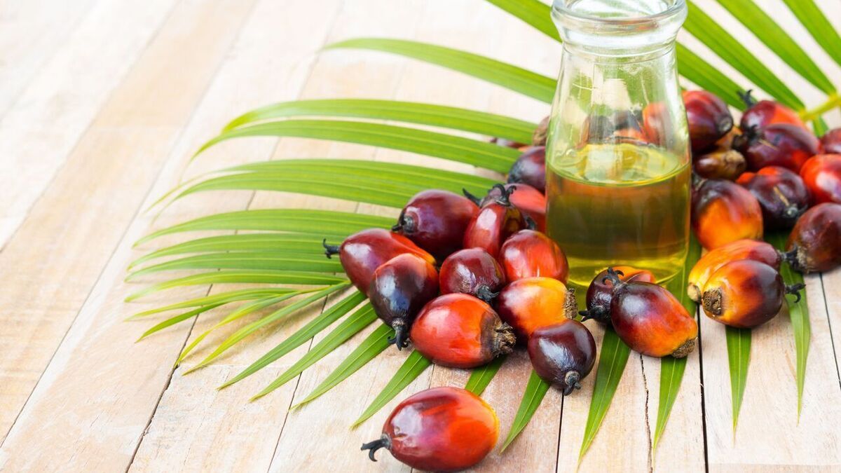 Как маскируют пальмовое масло в молочных продуктах: эксперты раскрыли секреты