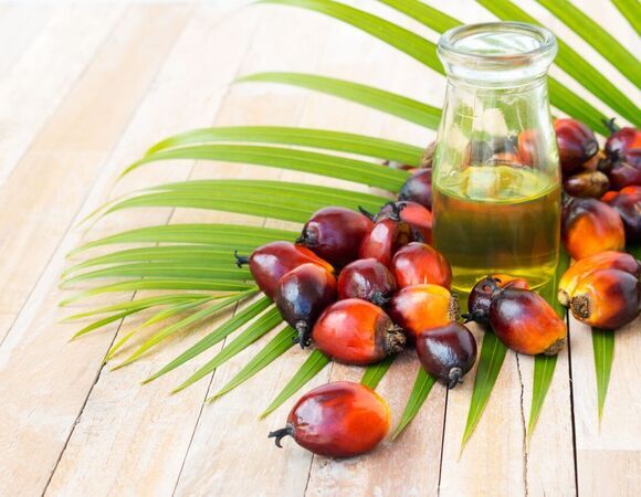 Как маскируют пальмовое масло в молочных продуктах: эксперты раскрыли секреты Как маскируют пальмовое масло в молочных продуктах: эксперты раскрыли секреты