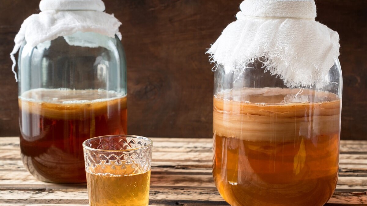 Стало известно, на каком чае лучше готовить чайный гриб