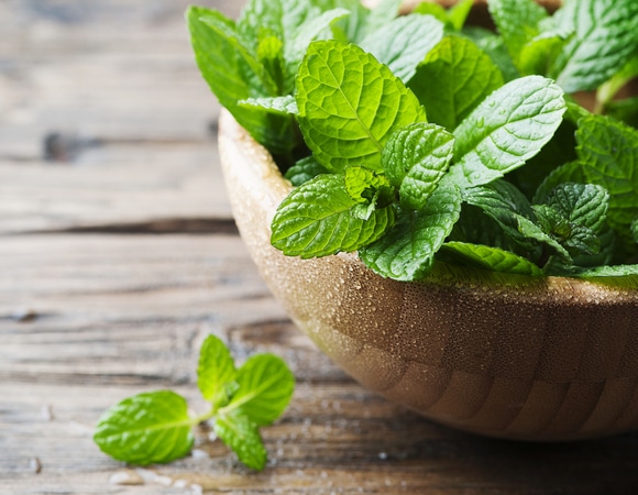 Почему японцы так любят чай с мятой: причины Почему японцы так любят чай с мятой: причины