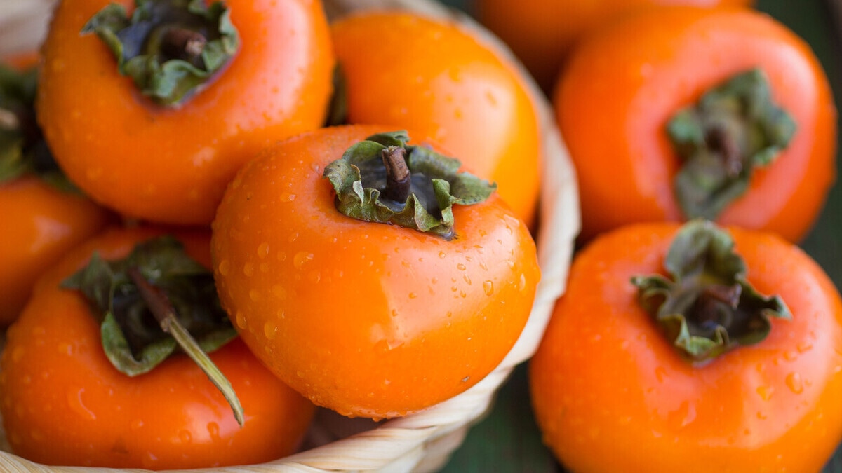 Хурма: полезные свойства сезонной ягоды и ее применение в кулинарии Хурма: полезные свойства сезонной ягоды и ее применение в кулинарии