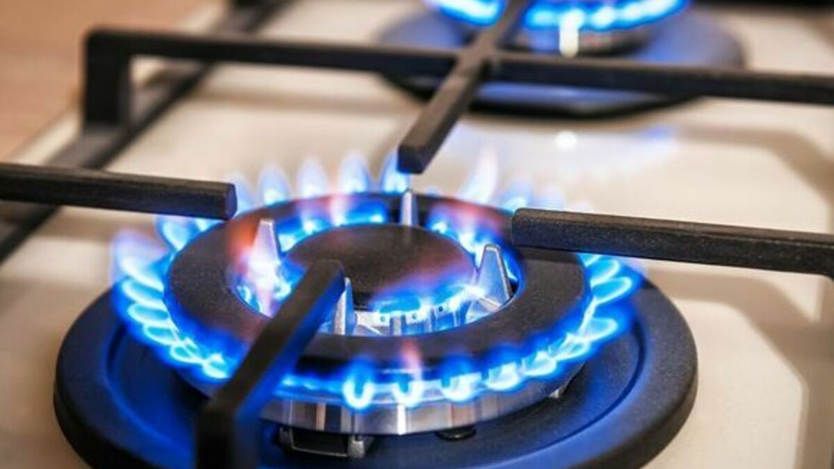 Что лучше: индукционная или газовая плита? Подскажут эксперты