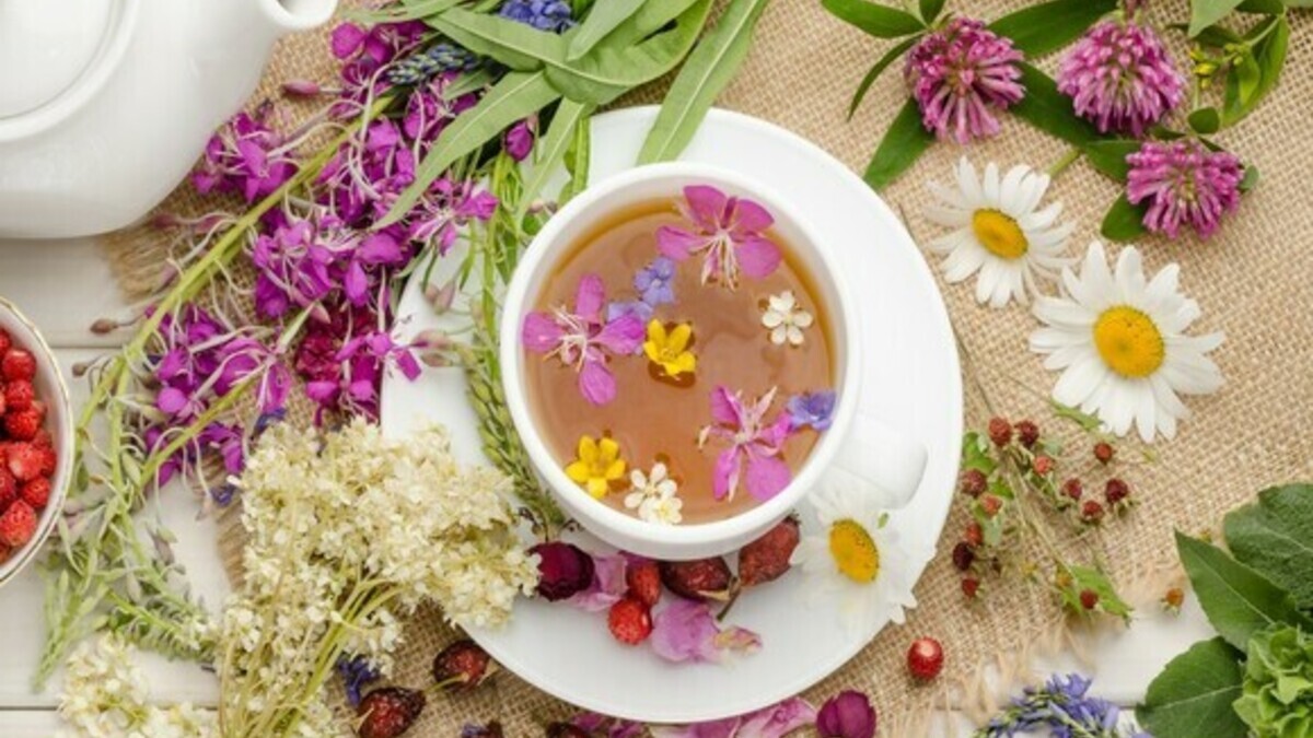 Бабья заступница: заварите травяной чай для долгого здоровья