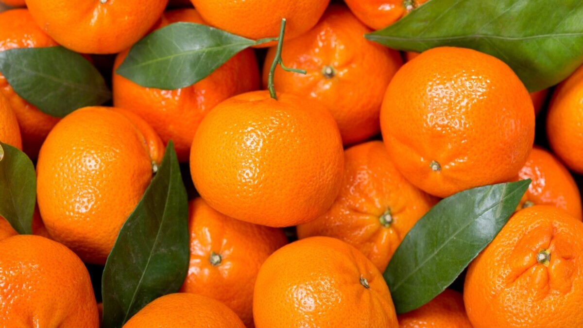 Что будет, если есть мандарины каждый день 