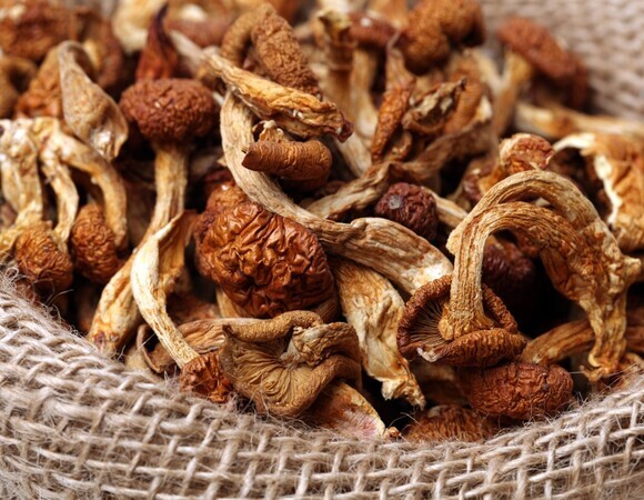 Как долго вымачивать сушеные грибы перед готовкой? Ответят микологи Как долго вымачивать сушеные грибы перед готовкой? Ответят микологи