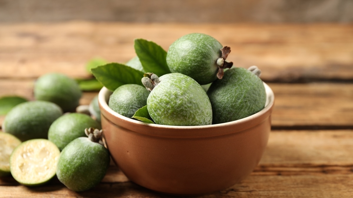 Замысловатая фейхоа: в чем польза и вред ягоды из Южной Америки Замысловатая фейхоа: в чем польза и вред ягоды из Южной Америки