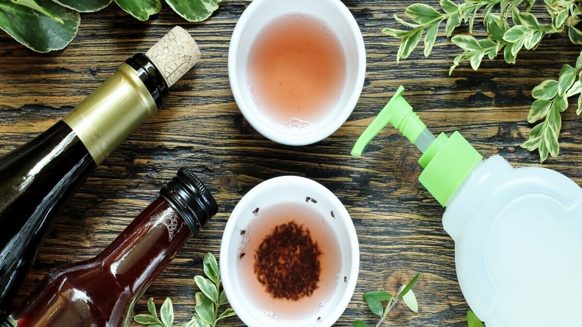 Как избавиться от пищевых мошек на кухне: лайфхак эксперта