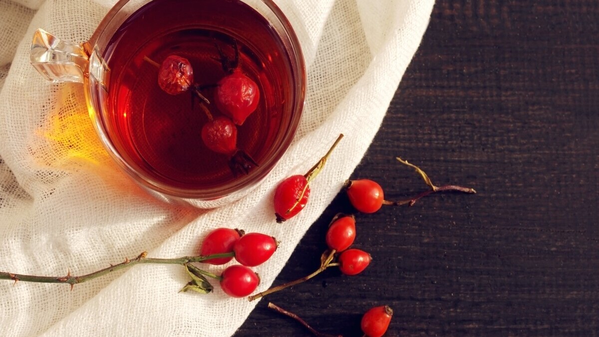 Как правильно заваривать шиповник: совет диетолога