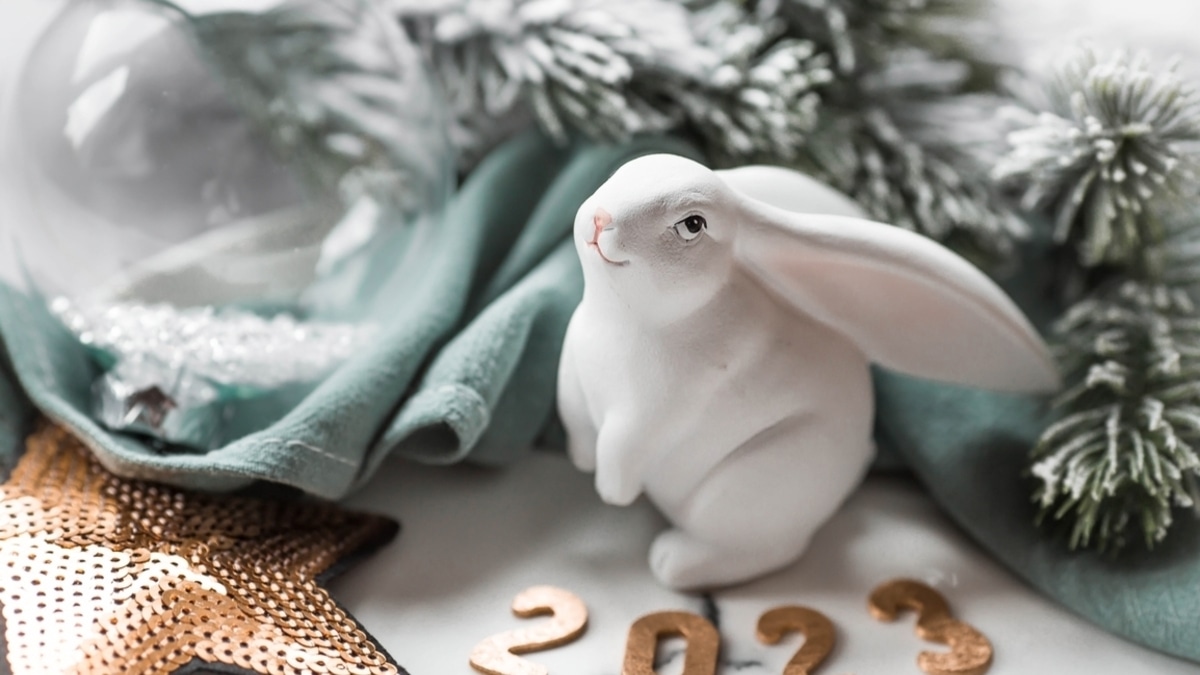 Новогодняя сервировка стола — 2023: подборка необычных идей для встречи года Кролика