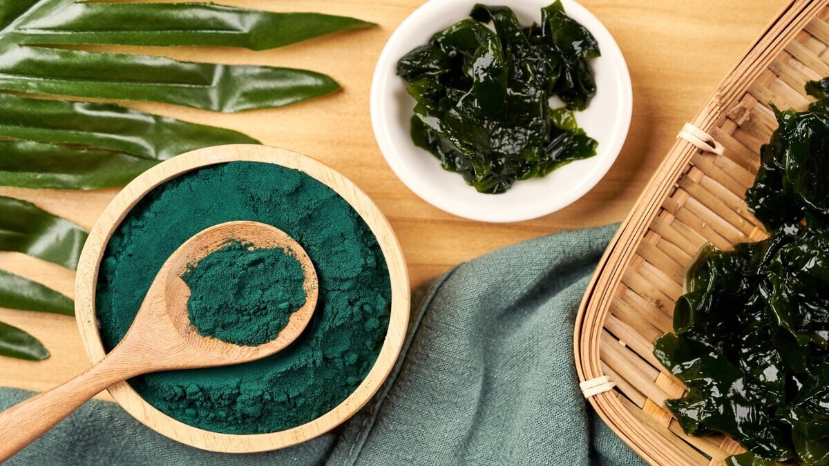 Эндокринолог рассказала, могут ли водоросли заменить таблетки йода Эндокринолог рассказала, могут ли водоросли заменить таблетки йода