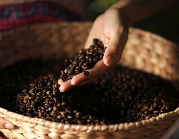 Как правильно хранить кофе: советы эксперта Как правильно хранить кофе: советы эксперта