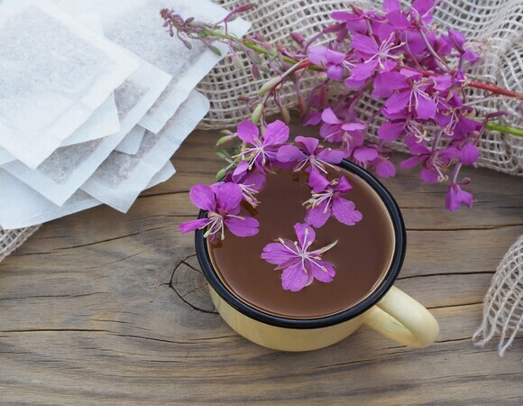 Есть ли польза в иван-чае: объяснила врач Есть ли польза в иван-чае: объяснила врач