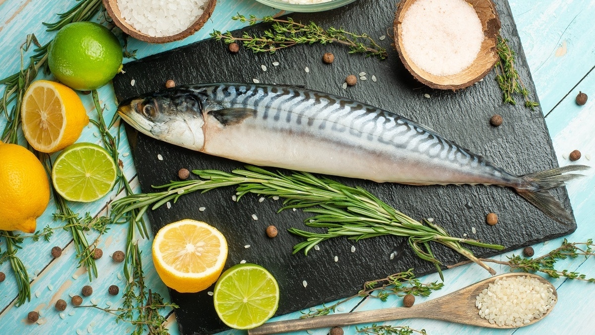 Как засолить скумбрию в домашних условиях: 7 рецептов пряной рыбы Как засолить скумбрию в домашних условиях: 7 рецептов пряной рыбы