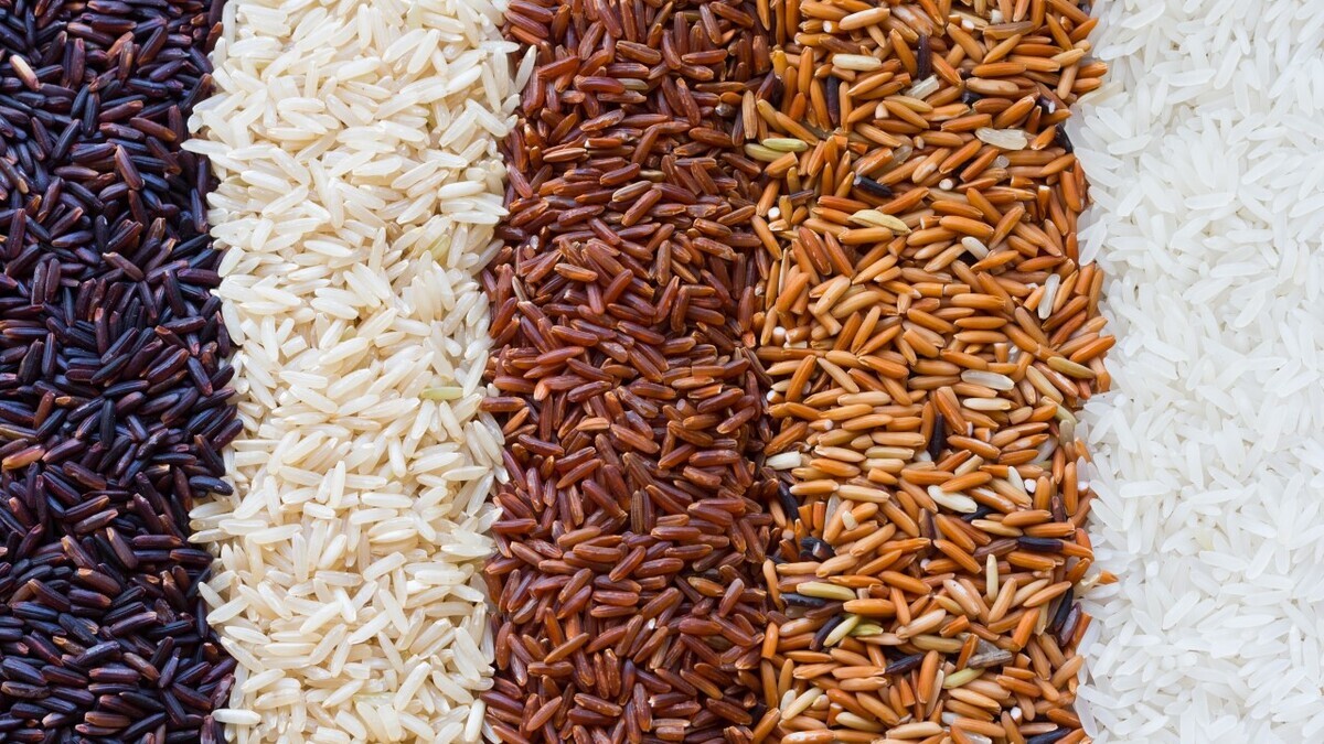 Назван сорт риса, снижающий холестерин