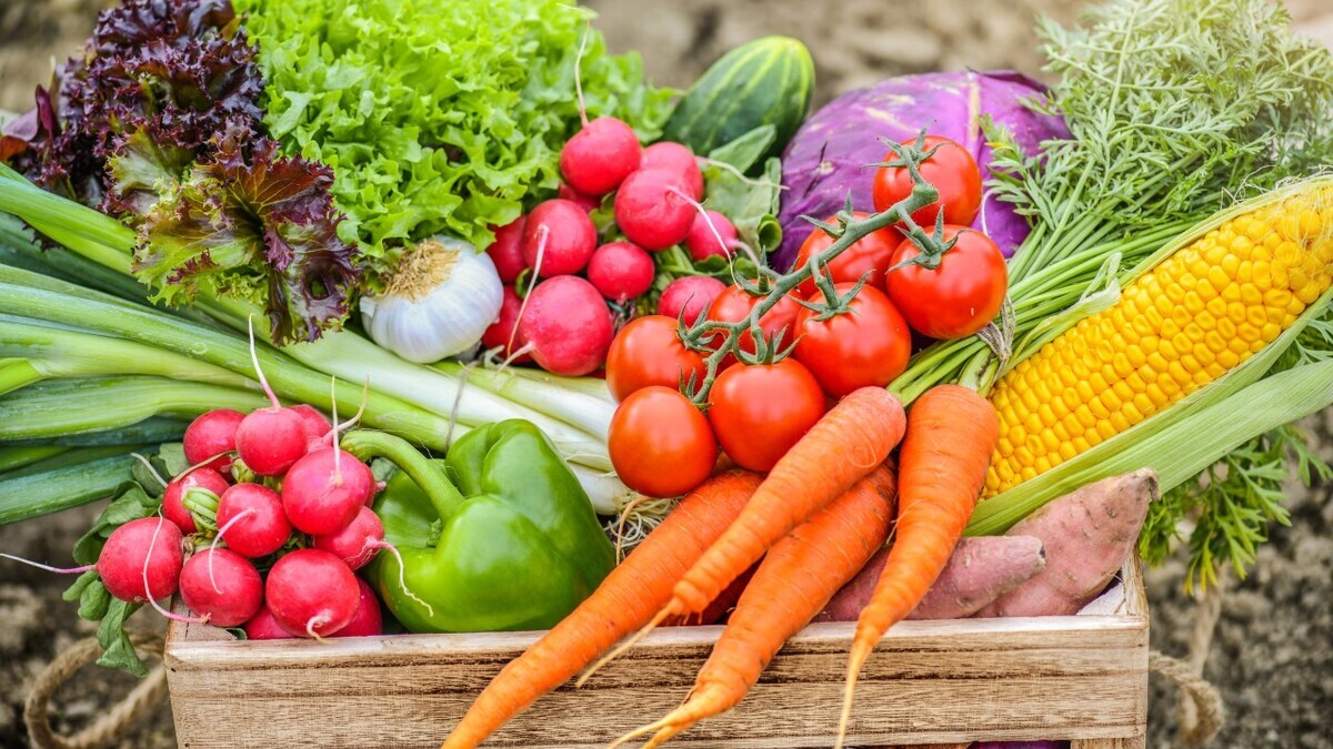 Врач: нужен всего 1 продукт для укрепления иммунитета пожилых людей