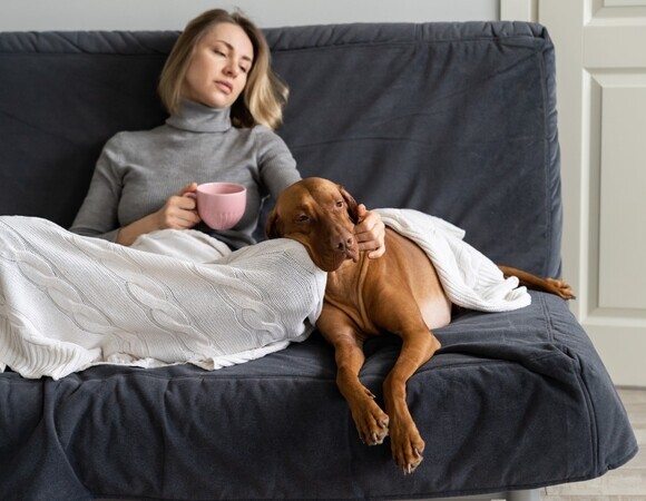 Перечислены продукты, которые помогают улучшить настроение Перечислены продукты, которые помогают улучшить настроение