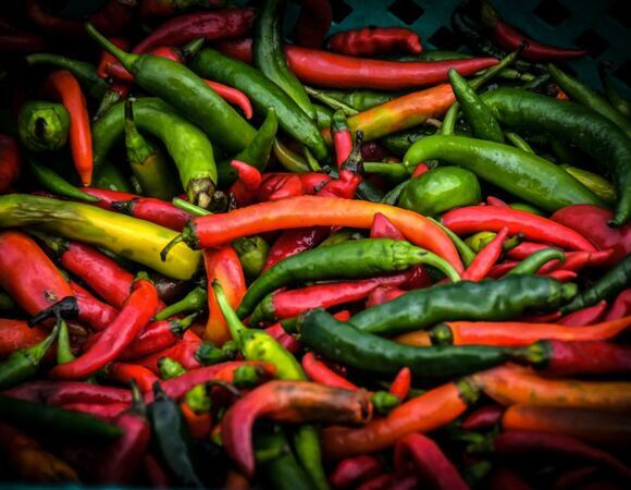 Гастроэнтеролог опроверг миф о вреде острых продуктов