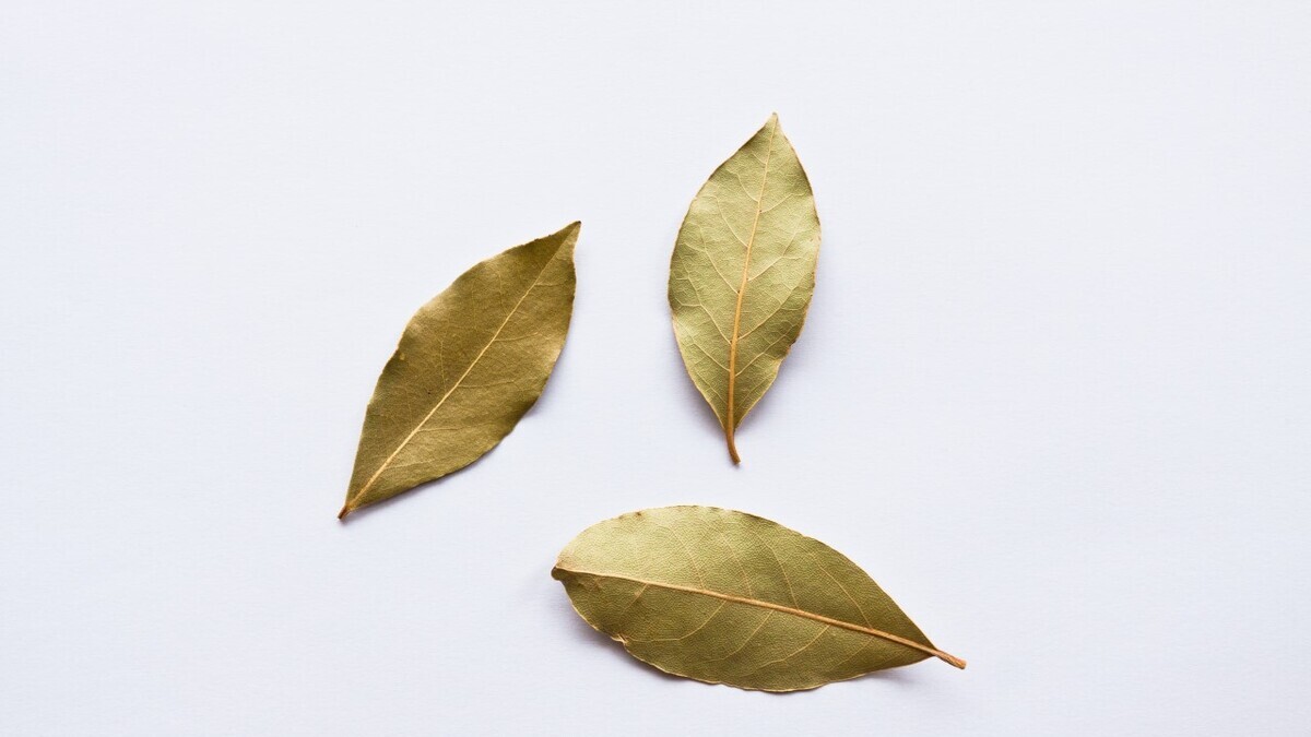 Названа неожиданная польза лаврового листа