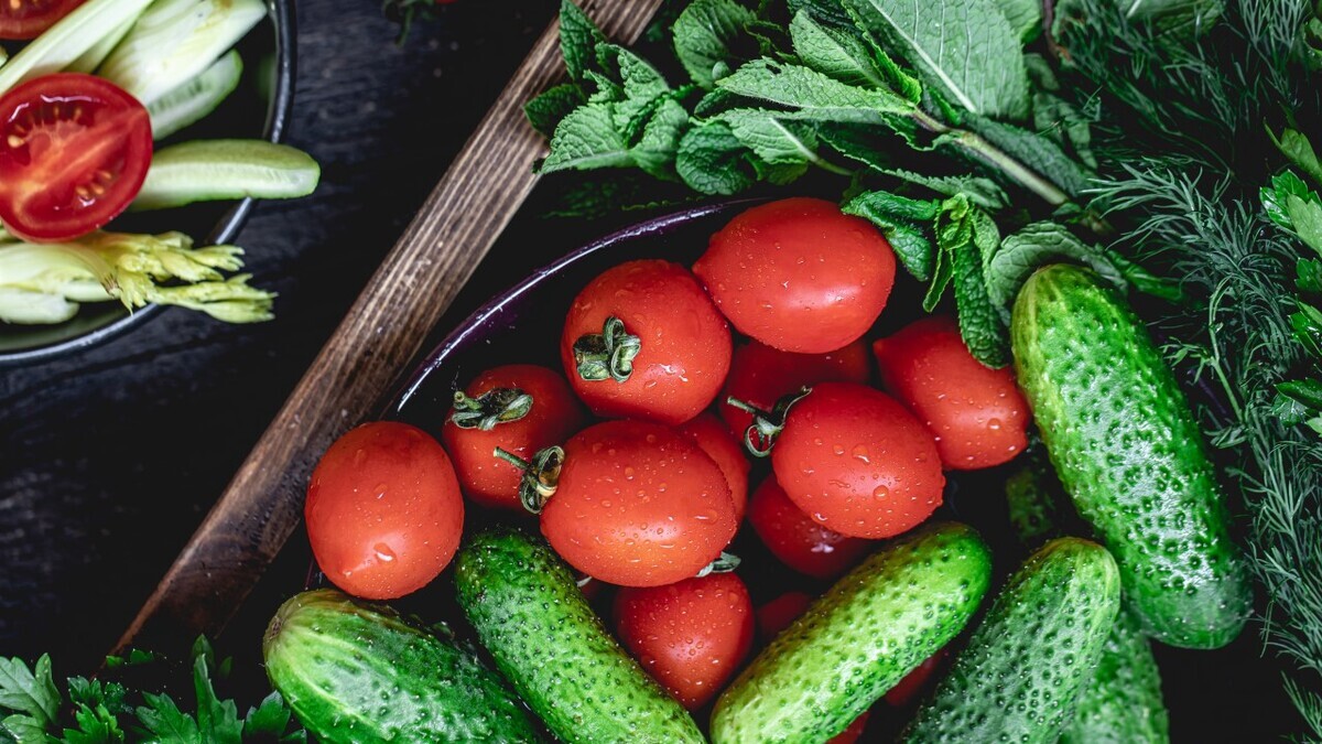 Как проверить на нитраты огурцы и помидоры: токсиколог дал советы Как проверить на нитраты огурцы и помидоры: токсиколог дал советы