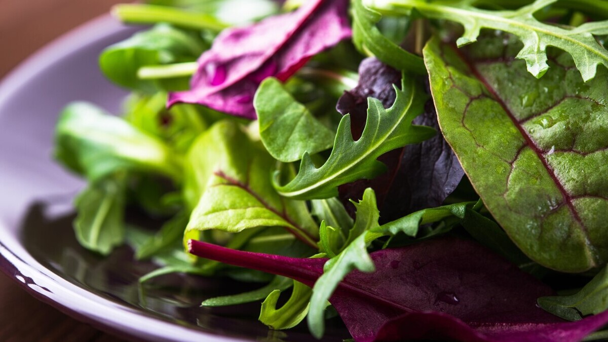 Названы самые полезные виды зелени