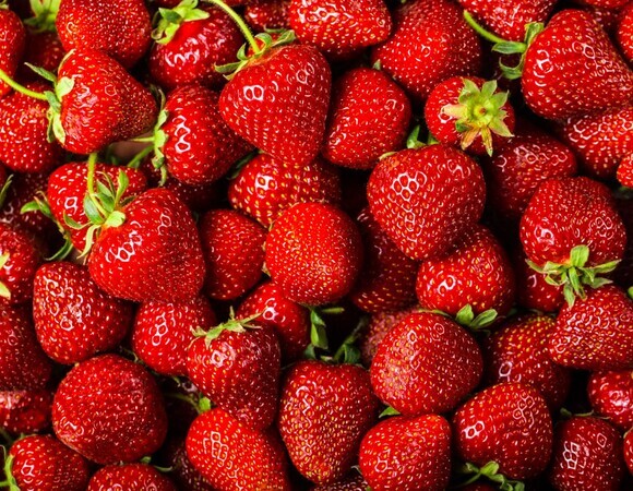 Перечислены лучшие сорта клубники для рассады