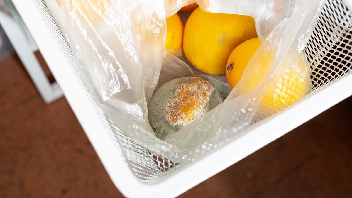Что будет, если съесть просроченный продукт: ответила диетолог