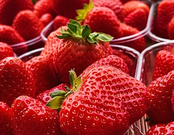 Как выбрать вкусную клубнику: лайфхаки от эксперта Как выбрать вкусную клубнику: лайфхаки от эксперта
