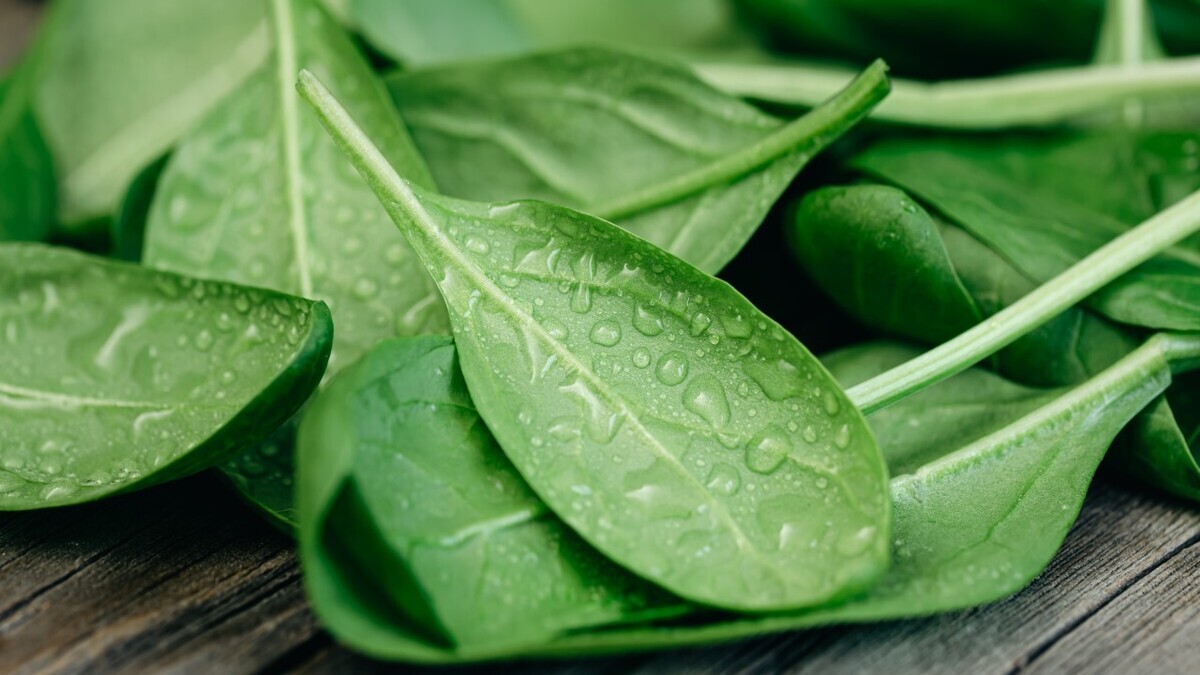 Названа неочевидная польза шпината