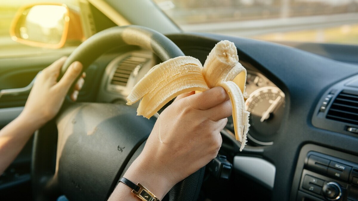 Стало известно, какие продукты лучше всего брать в дорогу