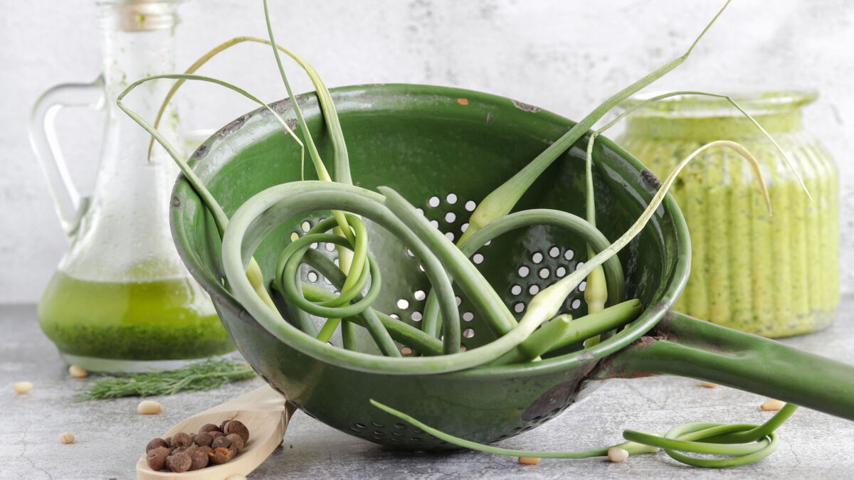 Что приготовить из чесночных стрелок: 5 рецептов вкусных блюд Что приготовить из чесночных стрелок: 5 рецептов вкусных блюд