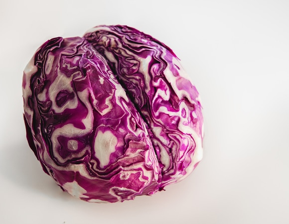 Ученые нашли продукты, наполовину снижающие риск болезни Альцгеймера Ученые нашли продукты, наполовину снижающие риск болезни Альцгеймера