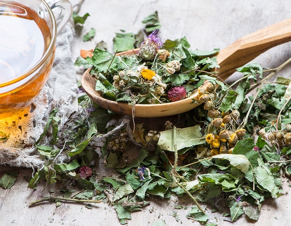 Врач назвала 5 самых полезных травяных чаев: как они влияют на здоровье?