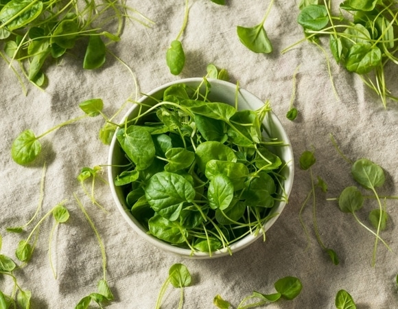 Найдена самая полезная зелень: что произойдет с телом, если начать есть кресс-салат? Найдена самая полезная зелень: что произойдет с телом, если начать есть кресс-салат?